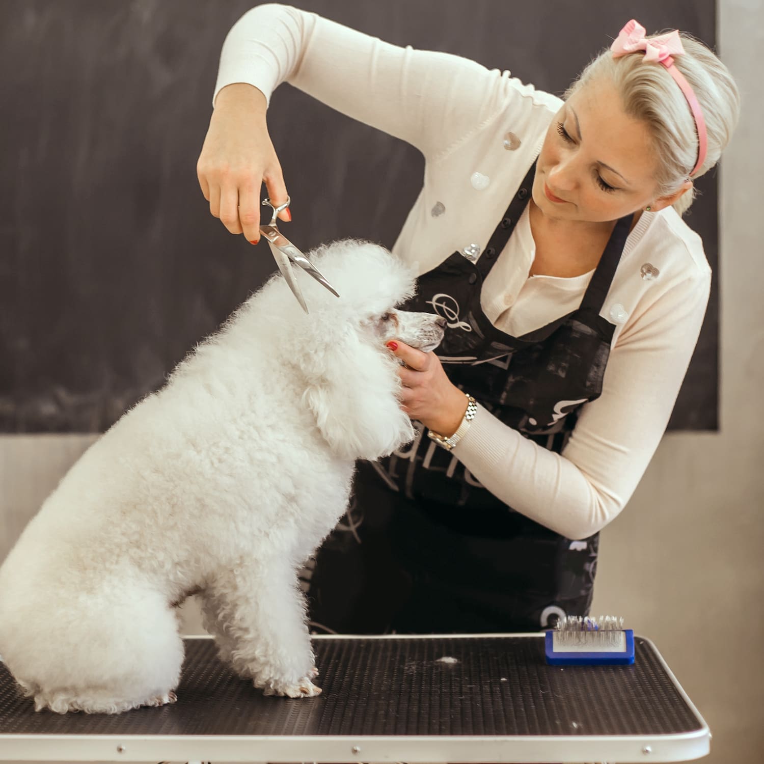 Dog Groomer Level 3 course