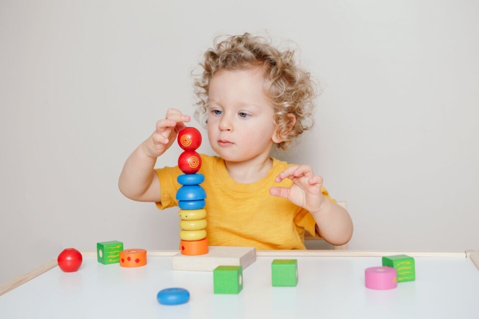 Early brain development