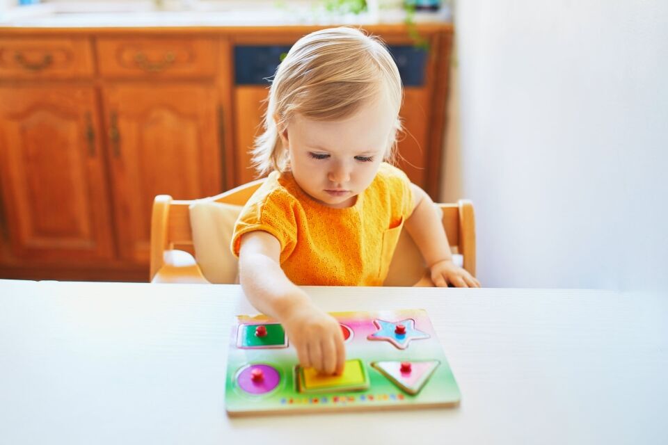 The role of education and intelligence