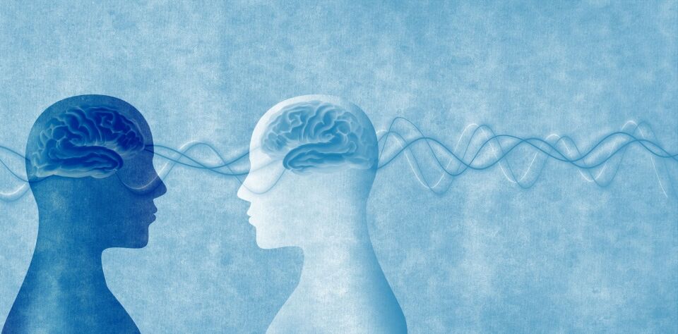 Constructivist theory of perception