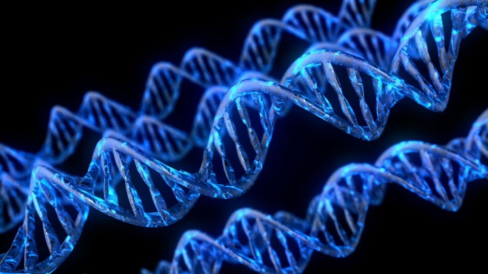 DNA structure