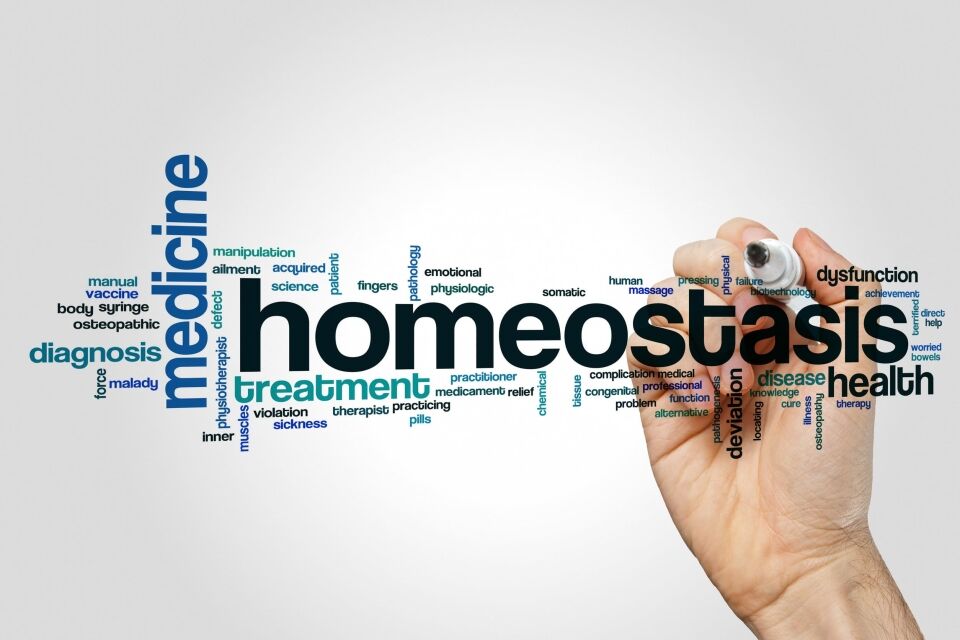 Homeostasis