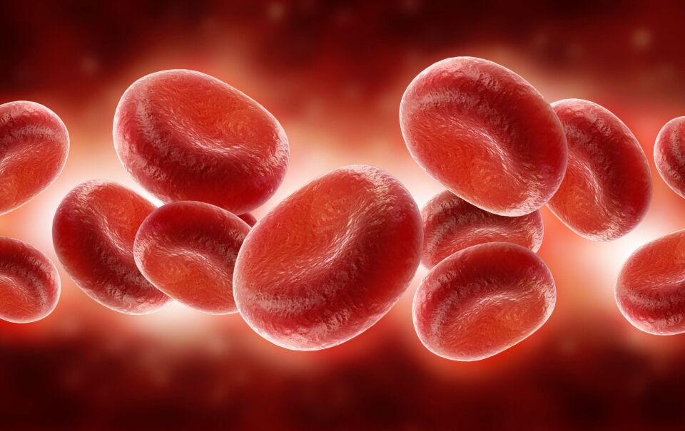The composition of blood