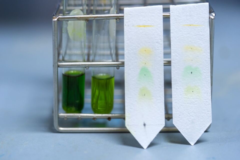 Chromatography