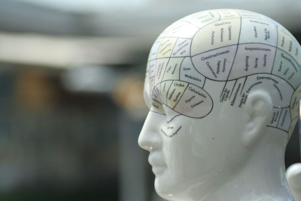 Best A-Levels for Studying Psychology