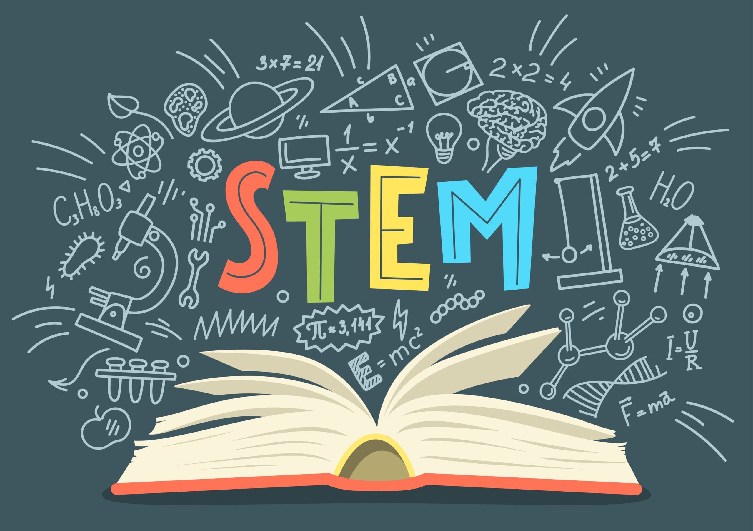 What are STEM Subjects?