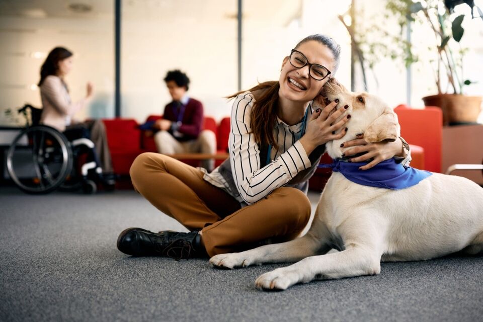 The Benefits of Animal-Assisted Therapy in Care