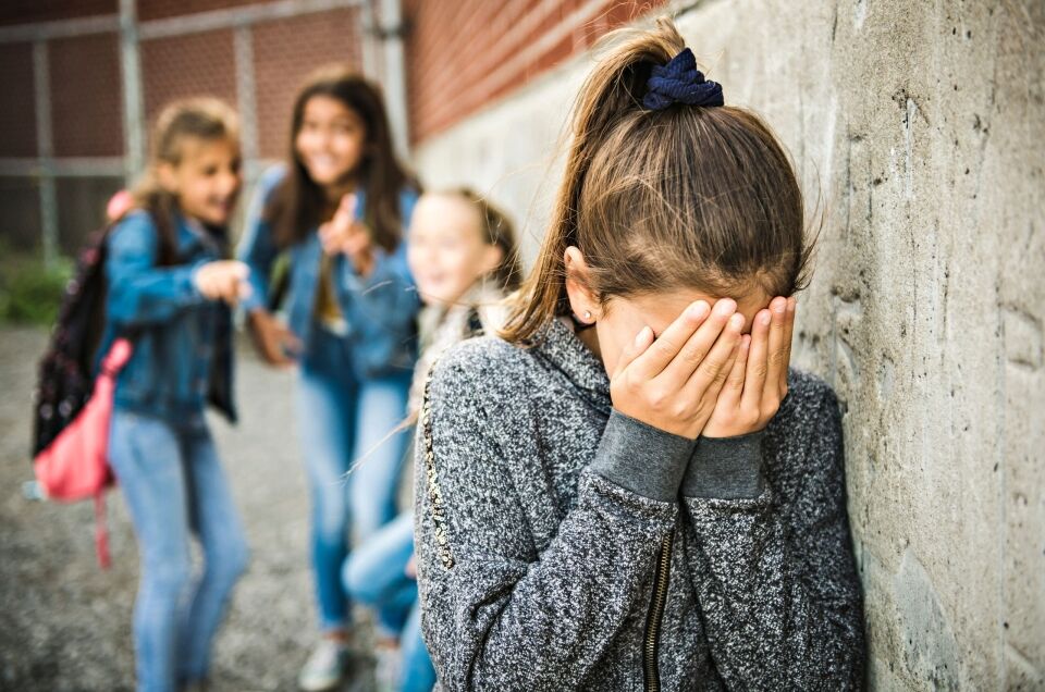 Bullying in Schools - A Comprehensive Guide