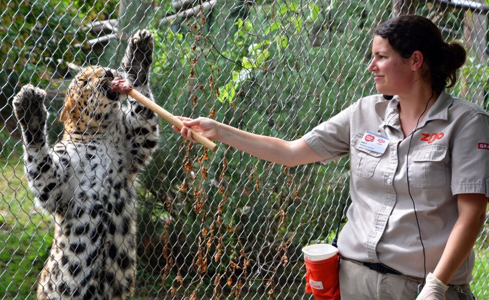 A Day in the Life of a Zookeeper