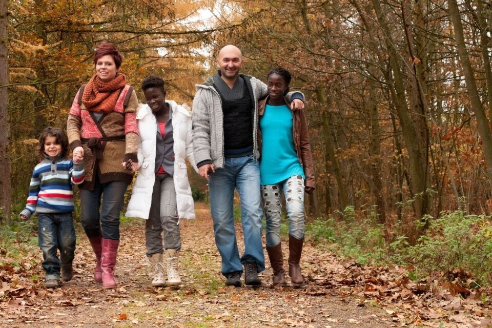 The Role of Cultural Competence in Embracing Diversity