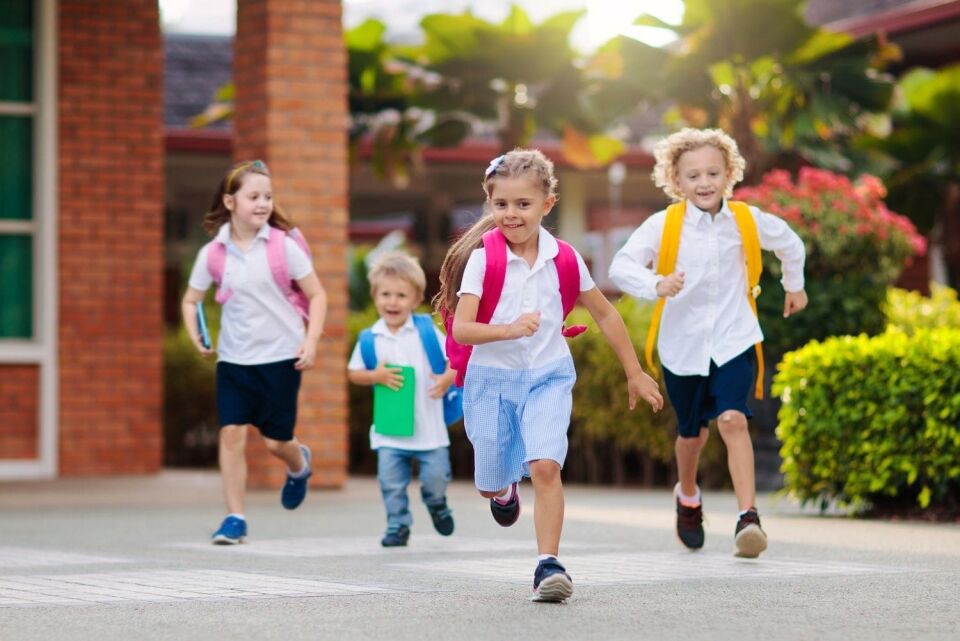 Child Safety in Educational Settings Best Practices